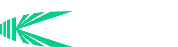 Logo Elastic2