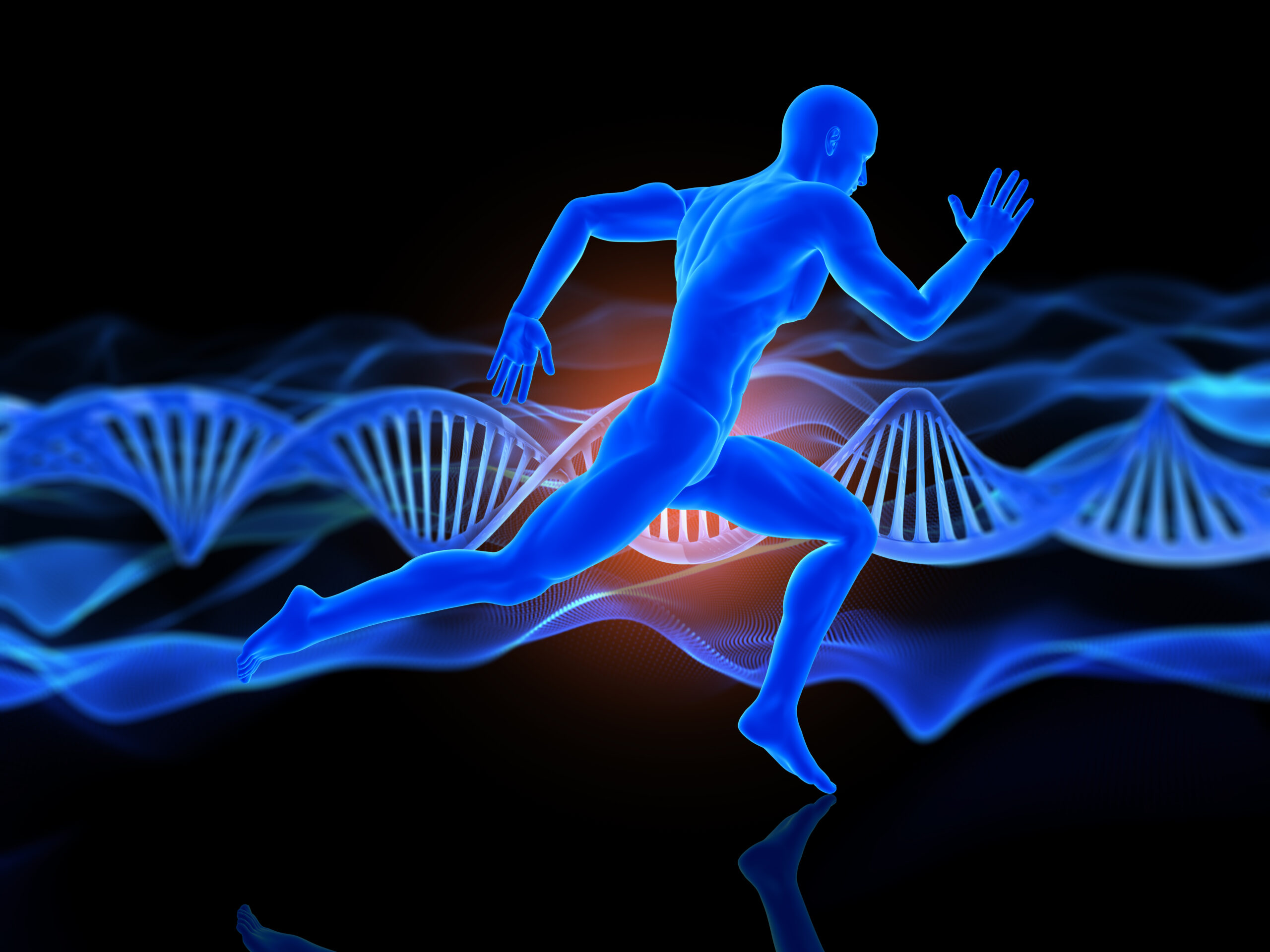 movimento humano